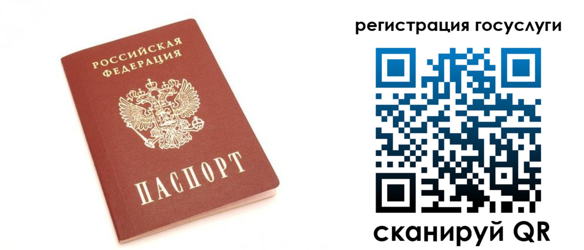 прописка для школы в Белой Холунице